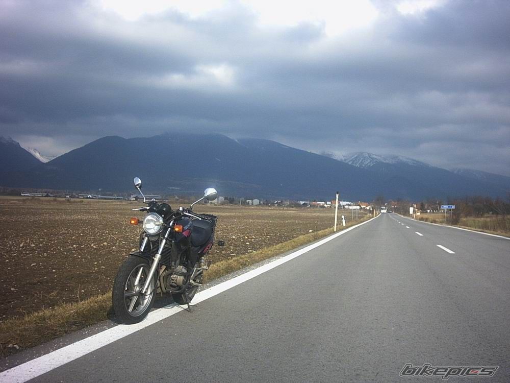 Photo 726254