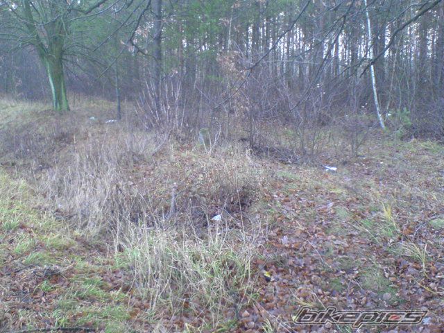 Photo 726275