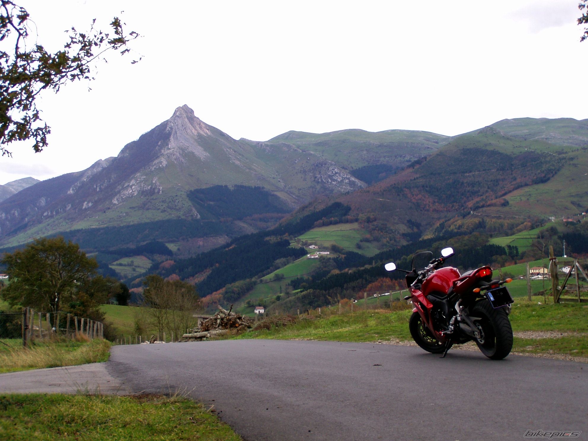 Bike Photo 726529