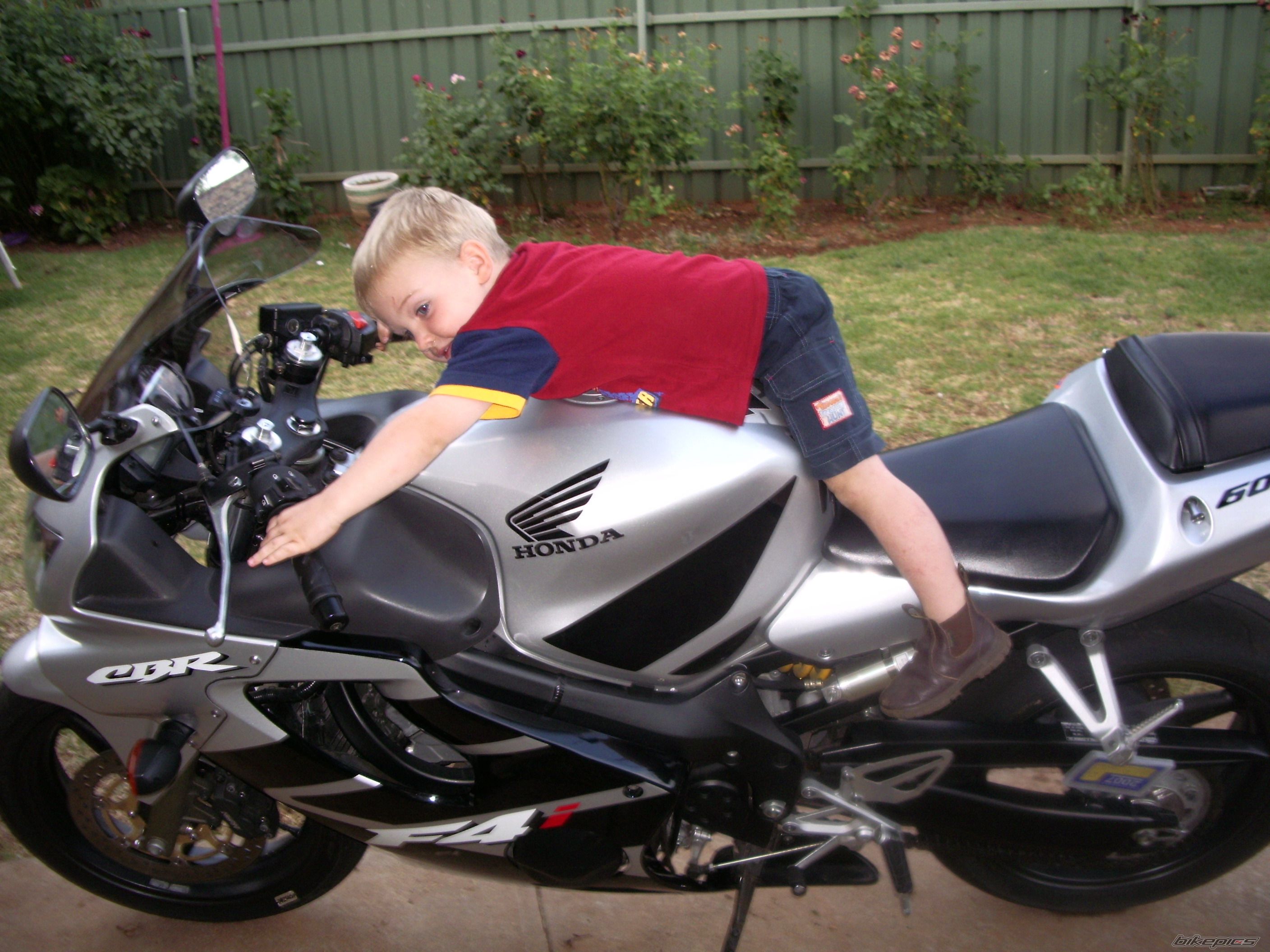 Photo 726615