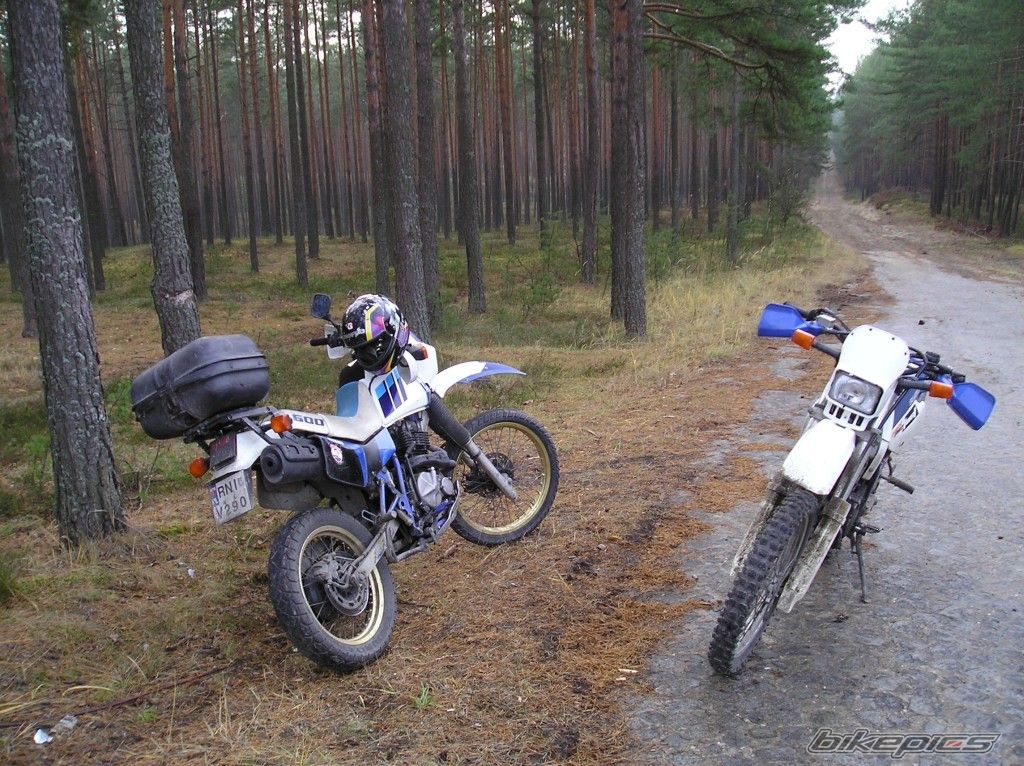 Bike Photo 726936