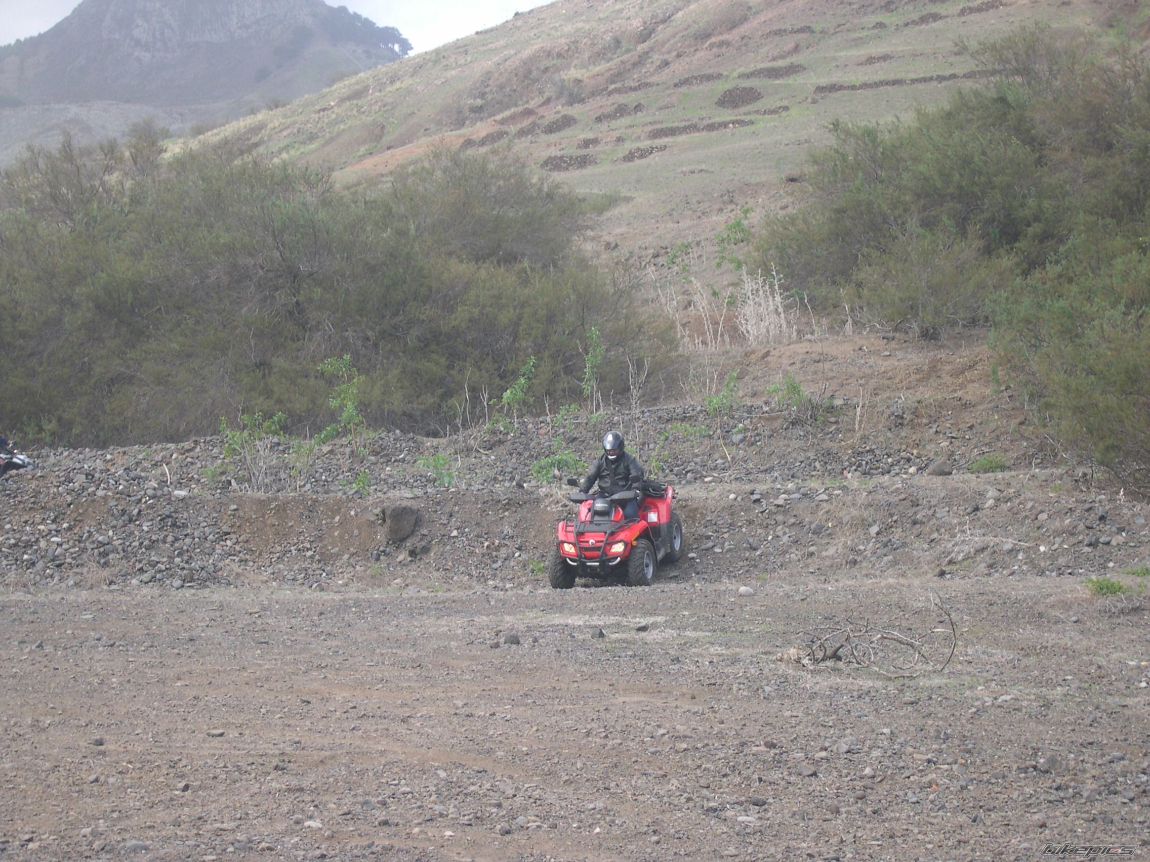 Photo 726937