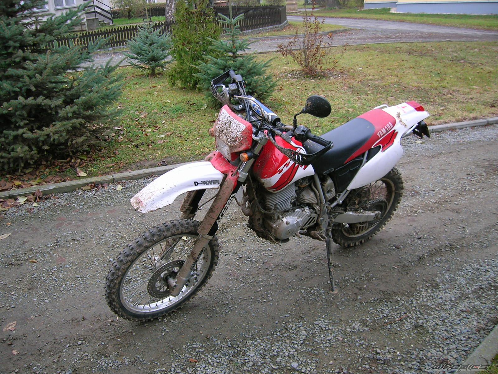 Photo 726982