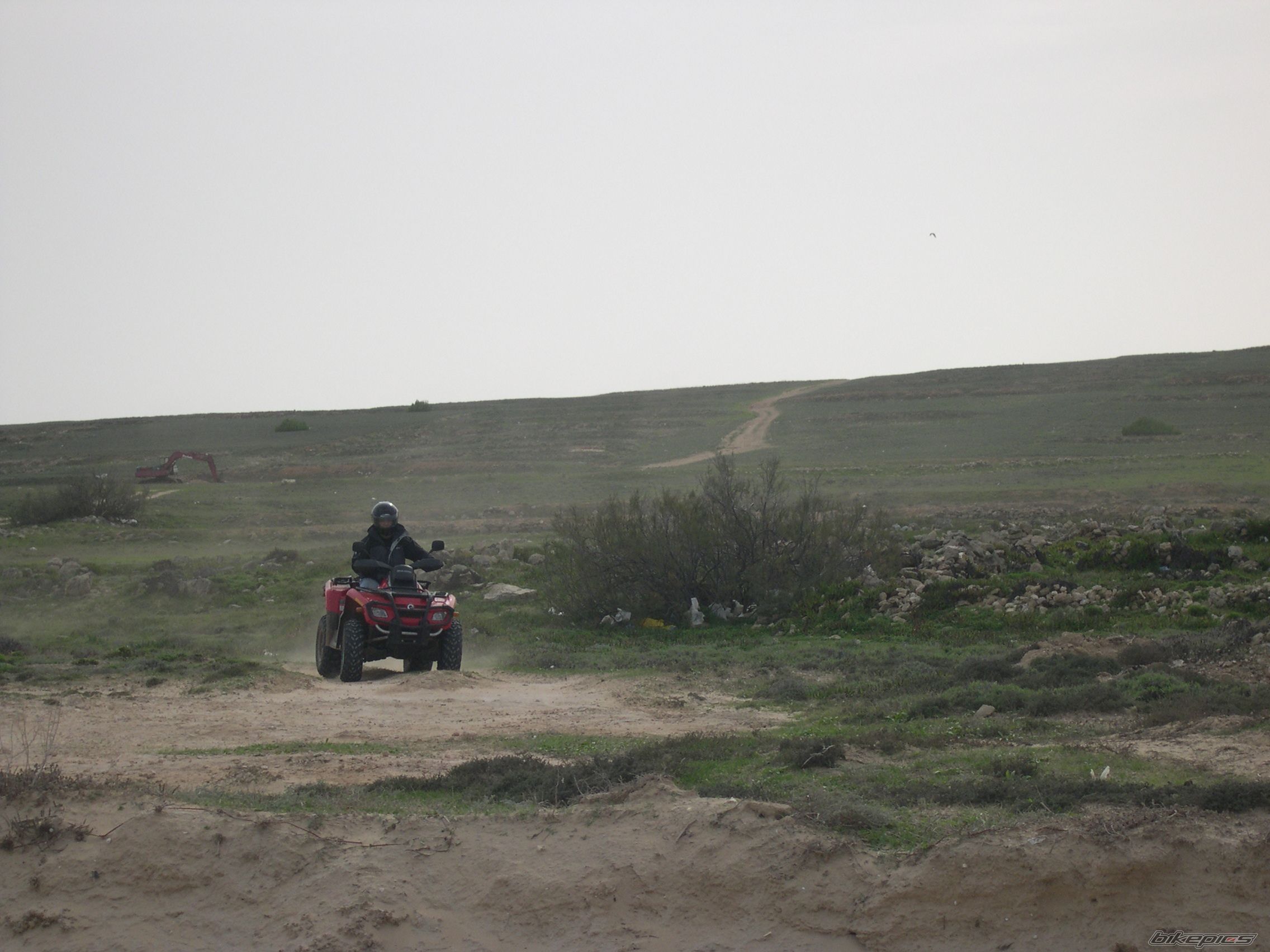 Photo 726990