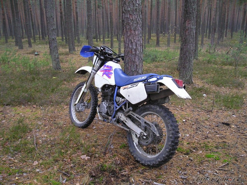 Photo 726991