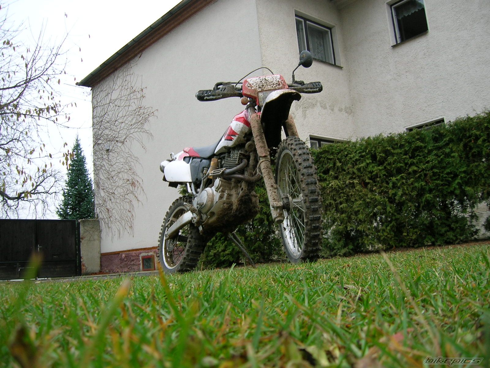 Photo 727030