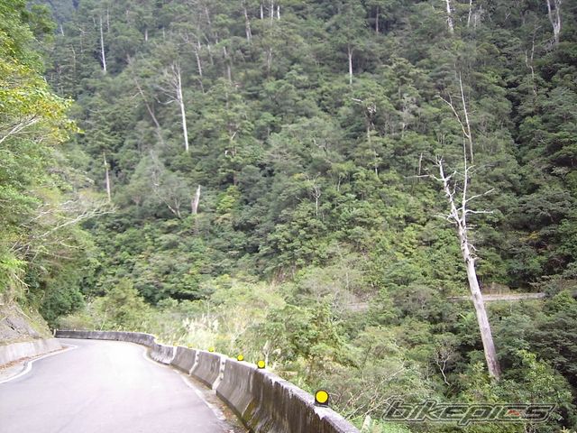 Photo 727071