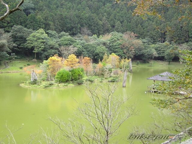Photo 727073