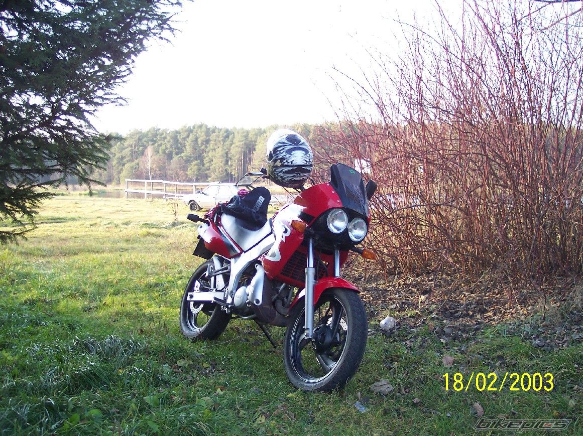 Photo 727177