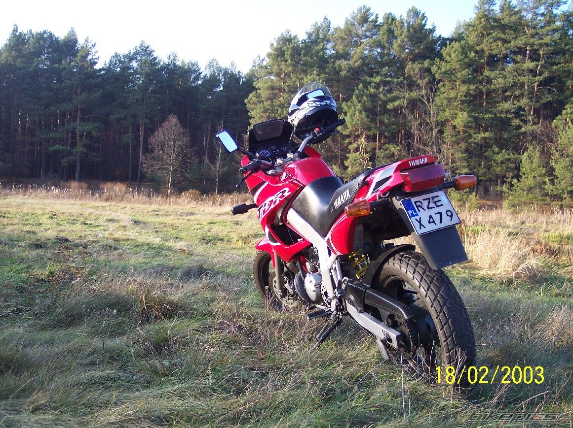 Photo 727193