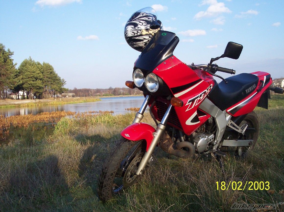 Photo 727196