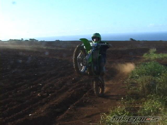 Photo 72731