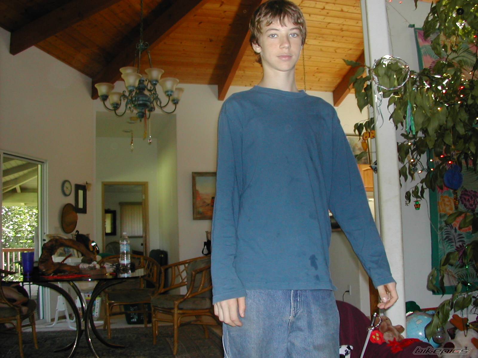 Photo 72732