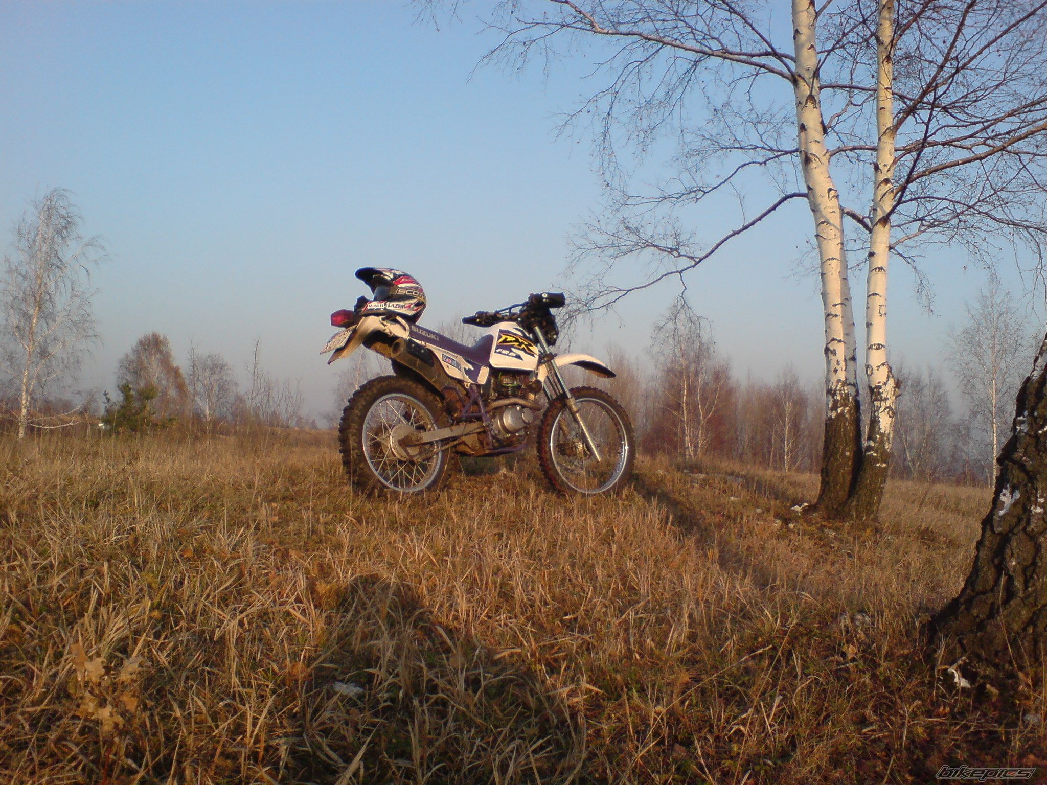 Photo 727345