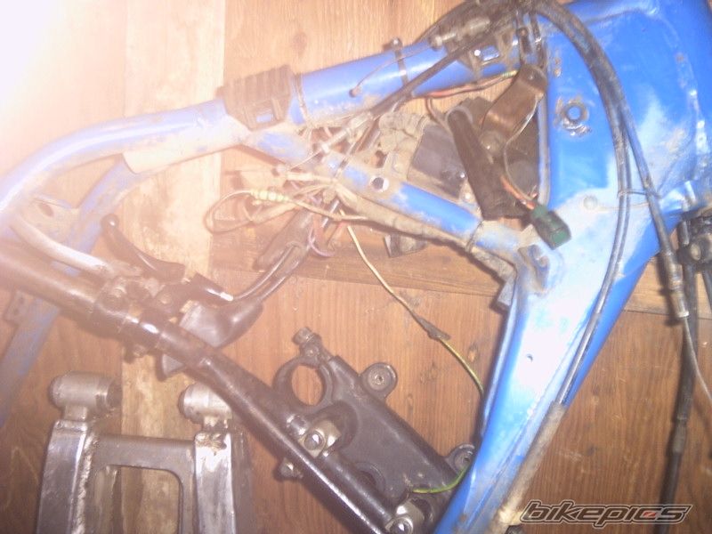 Photo 727359