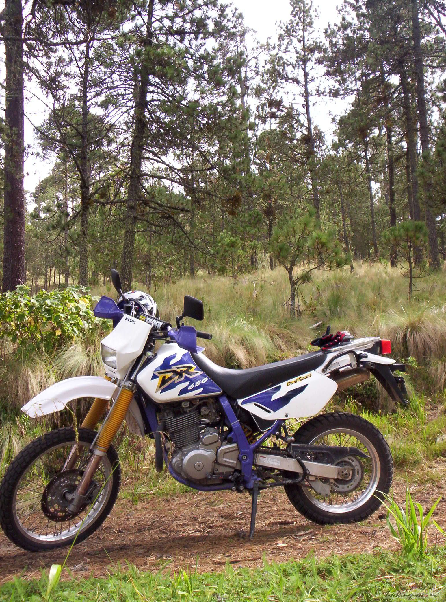 Photo 728101