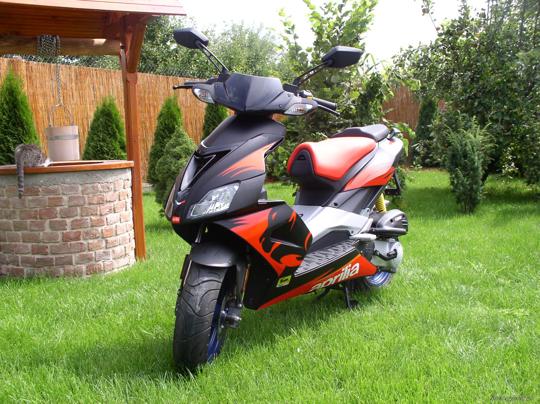 Bike Photo 728225