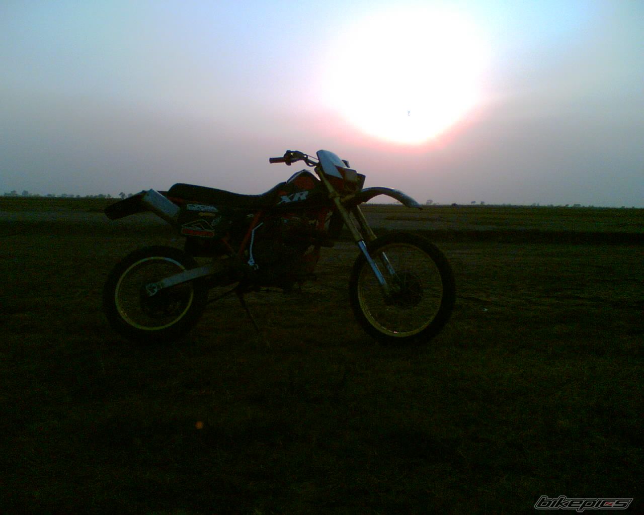 Photo 728414