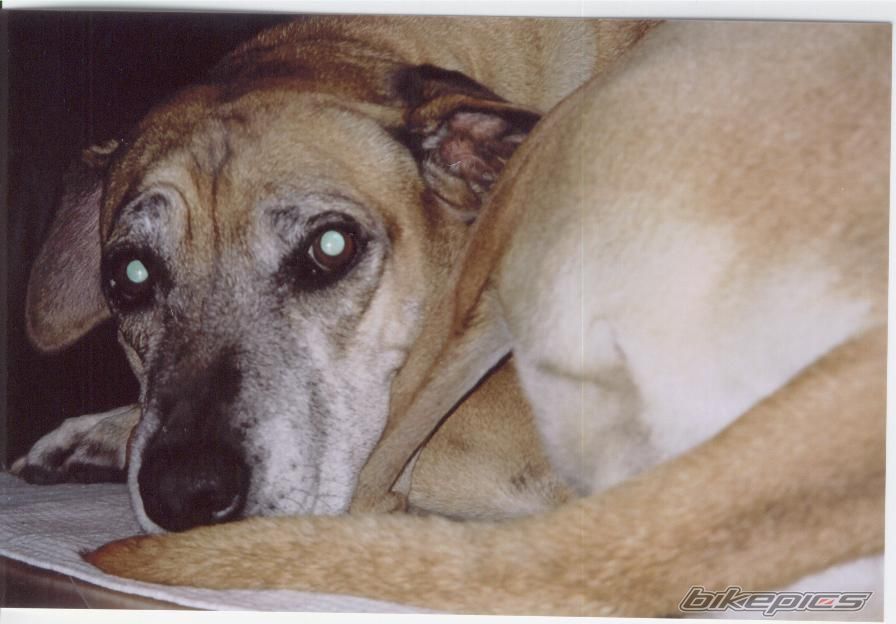 Photo 728596