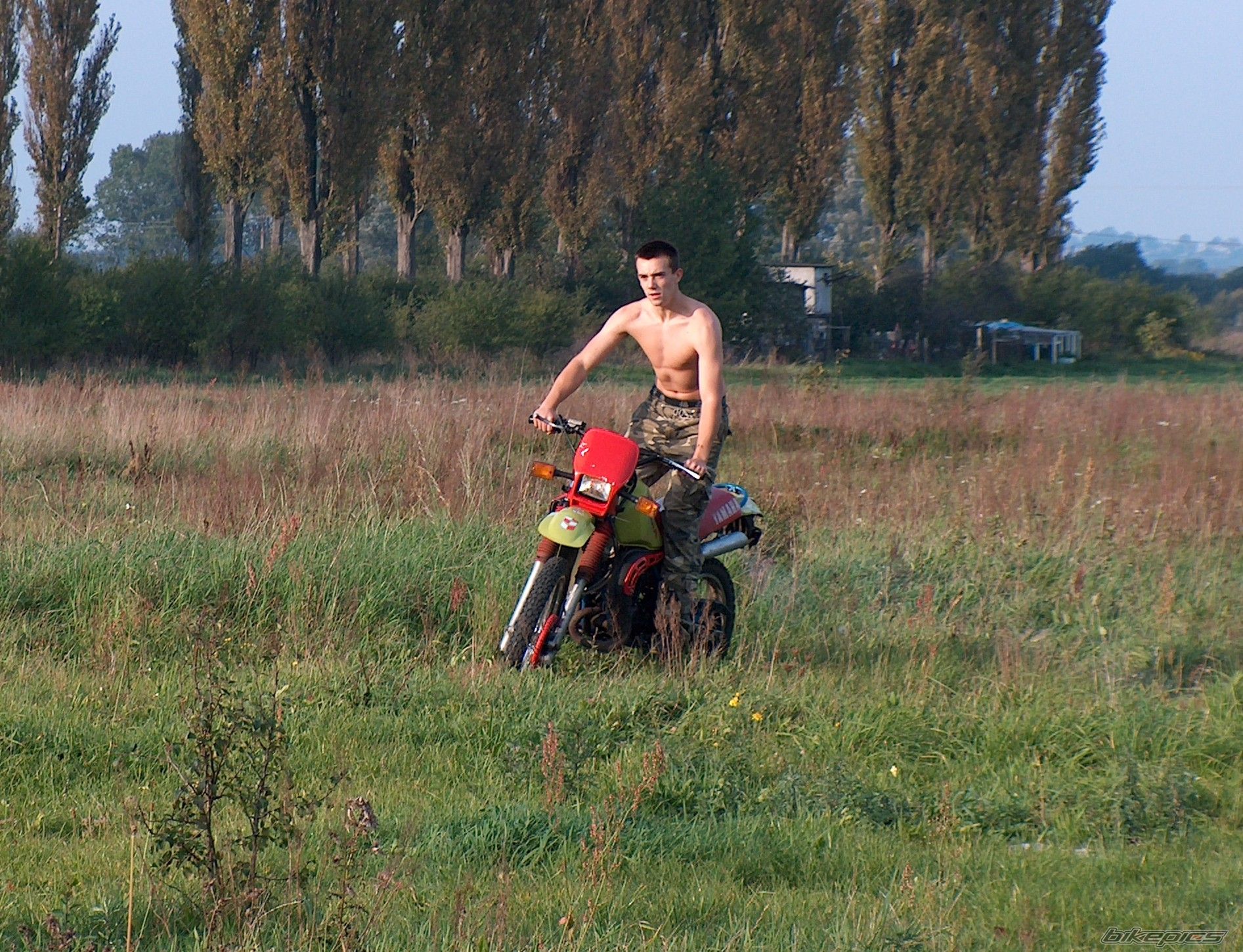 Photo 728784