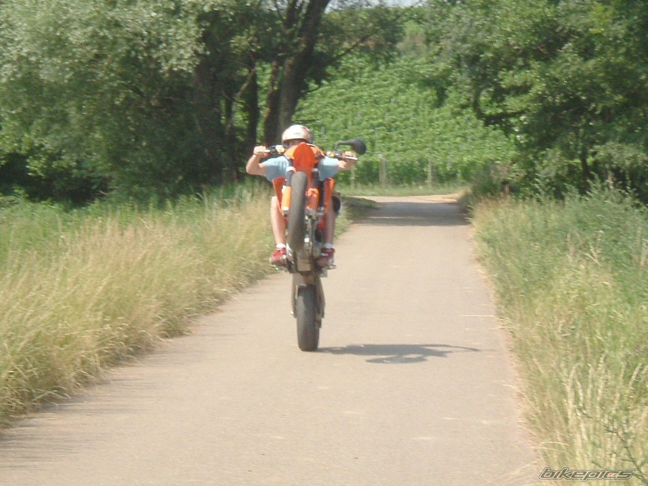 Bike Photo 728928