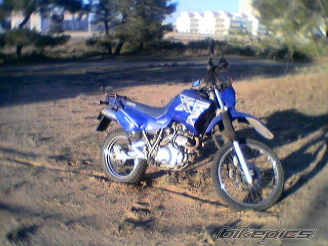 Photo 729001