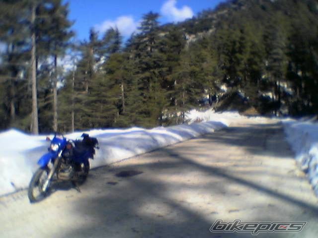 Photo 729005