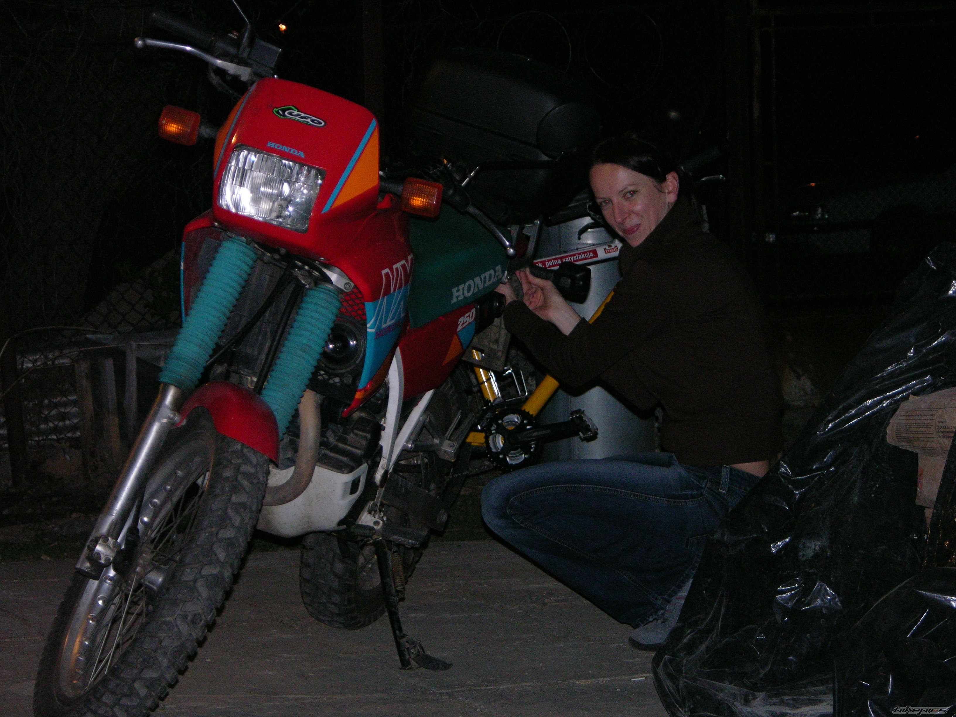 Photo 729042