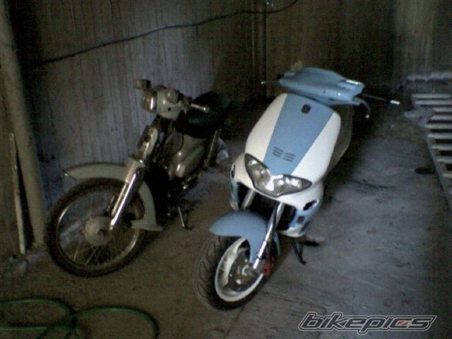 Photo 729089