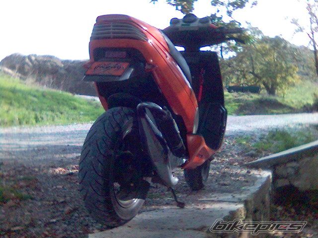 Photo 729199