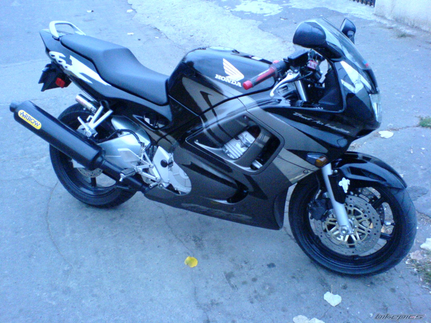 Photo 729252