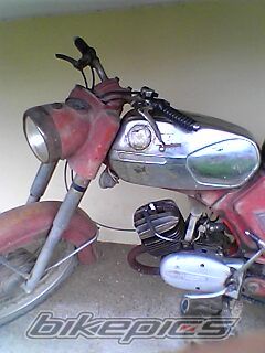 Photo 729272