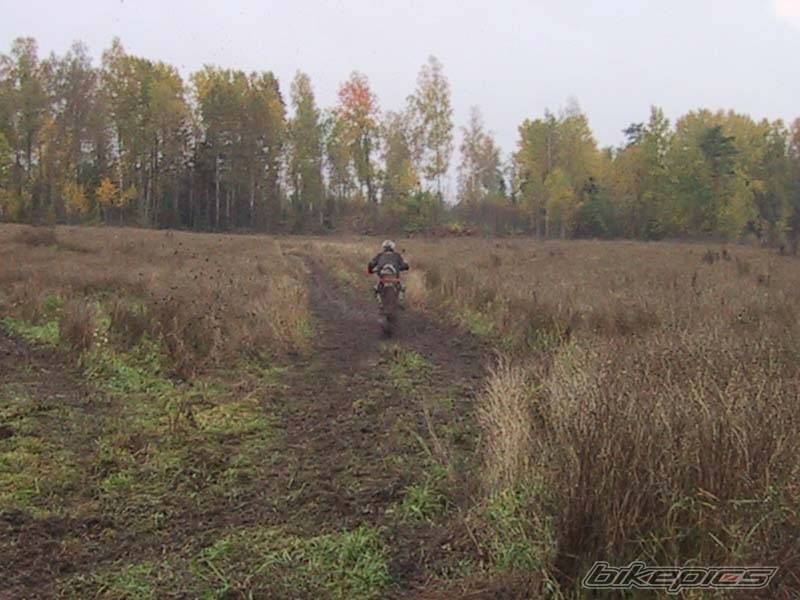 Photo 72932