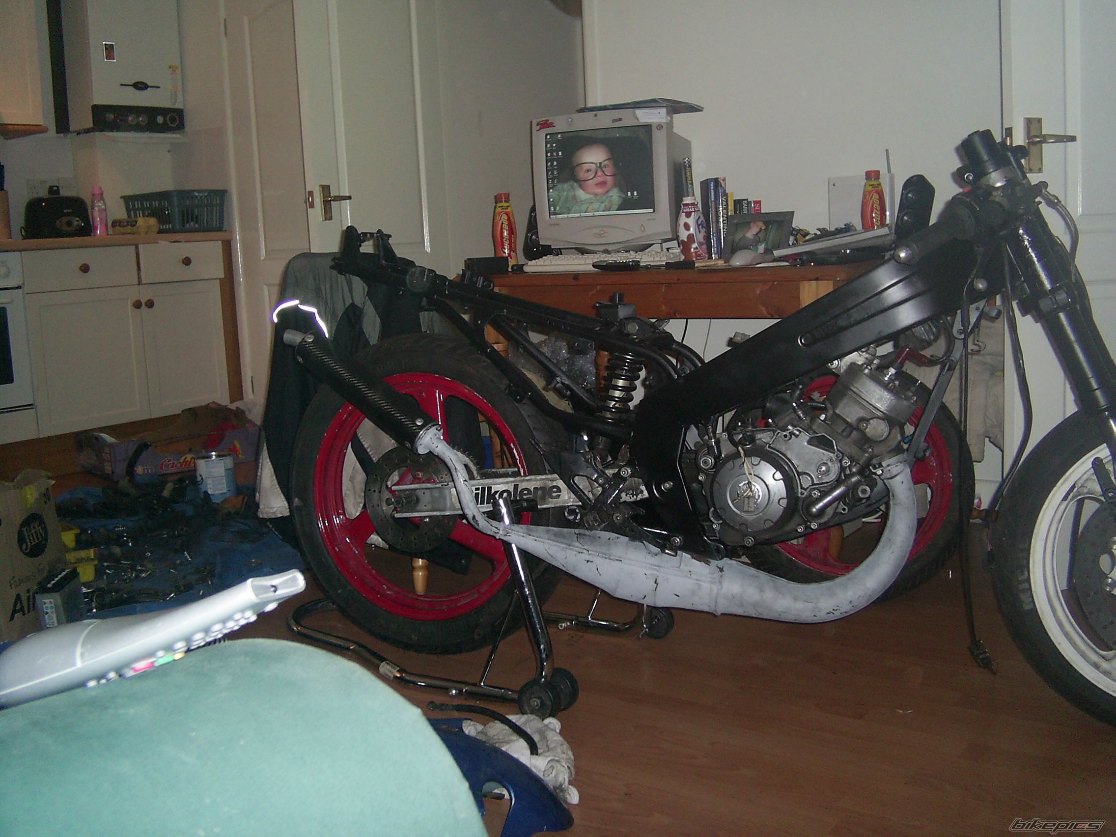 Photo 729346