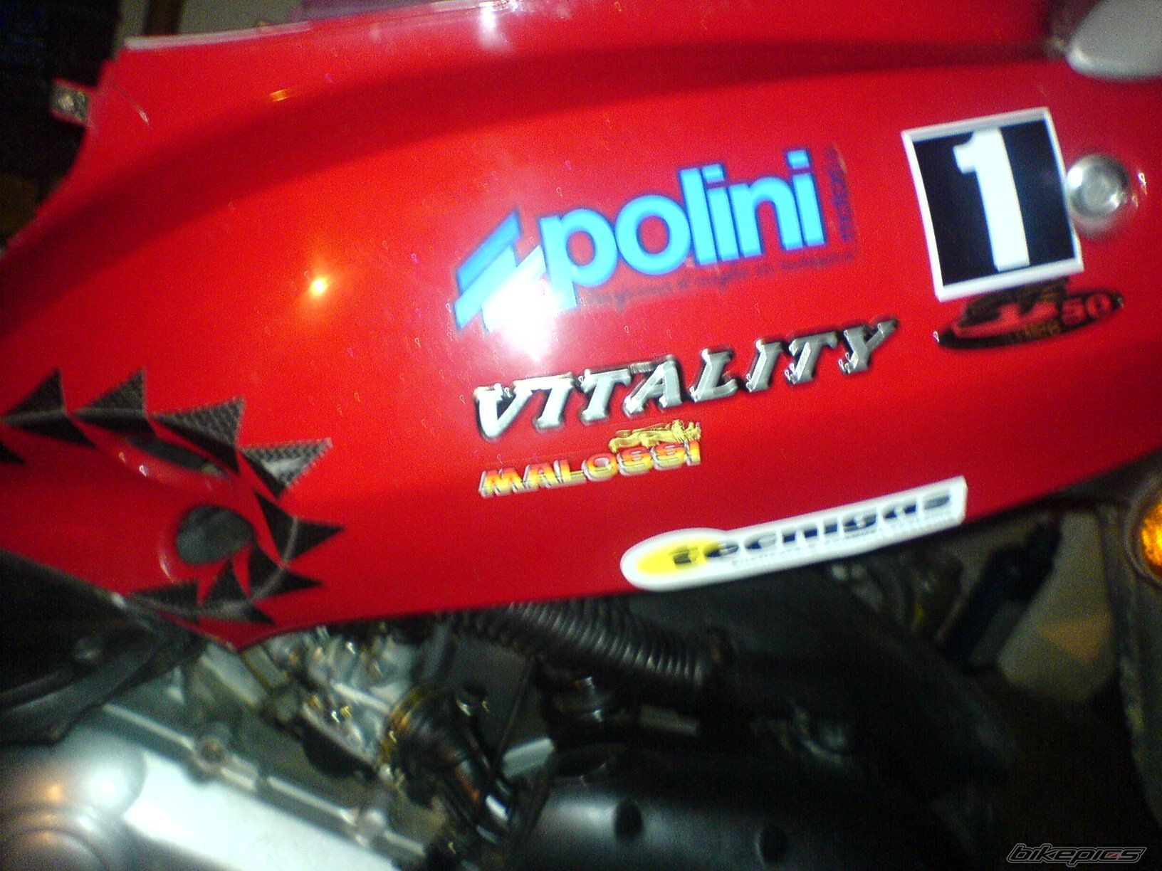 Photo 729349