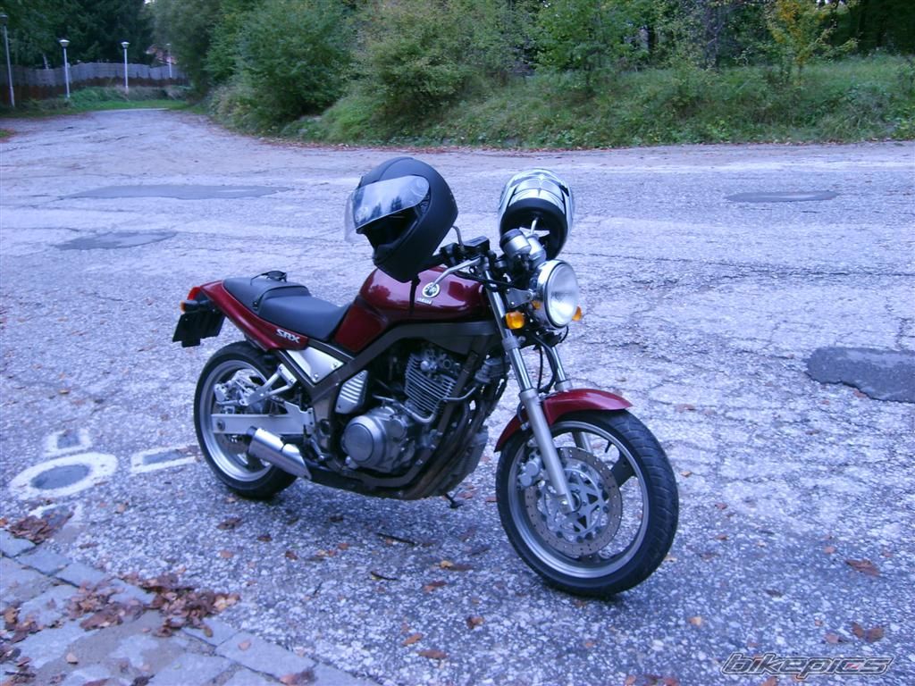 Photo 729372