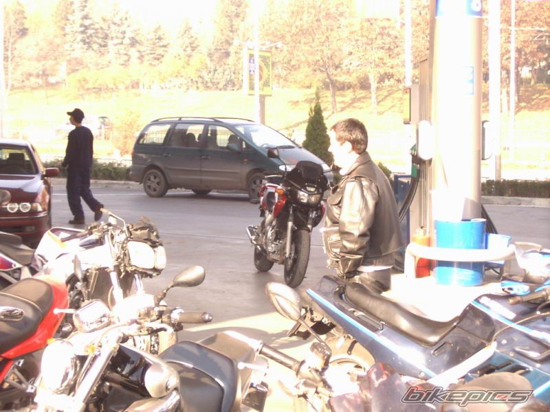 Photo 729385