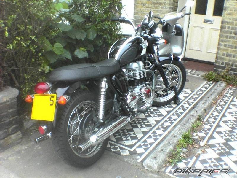 Photo 729391