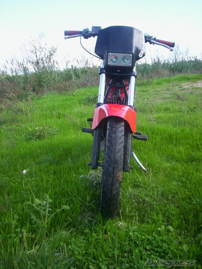 Photo 729417