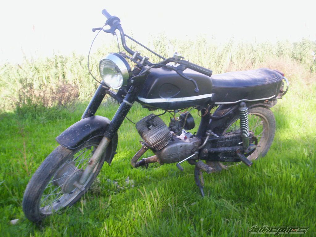 Photo 729432