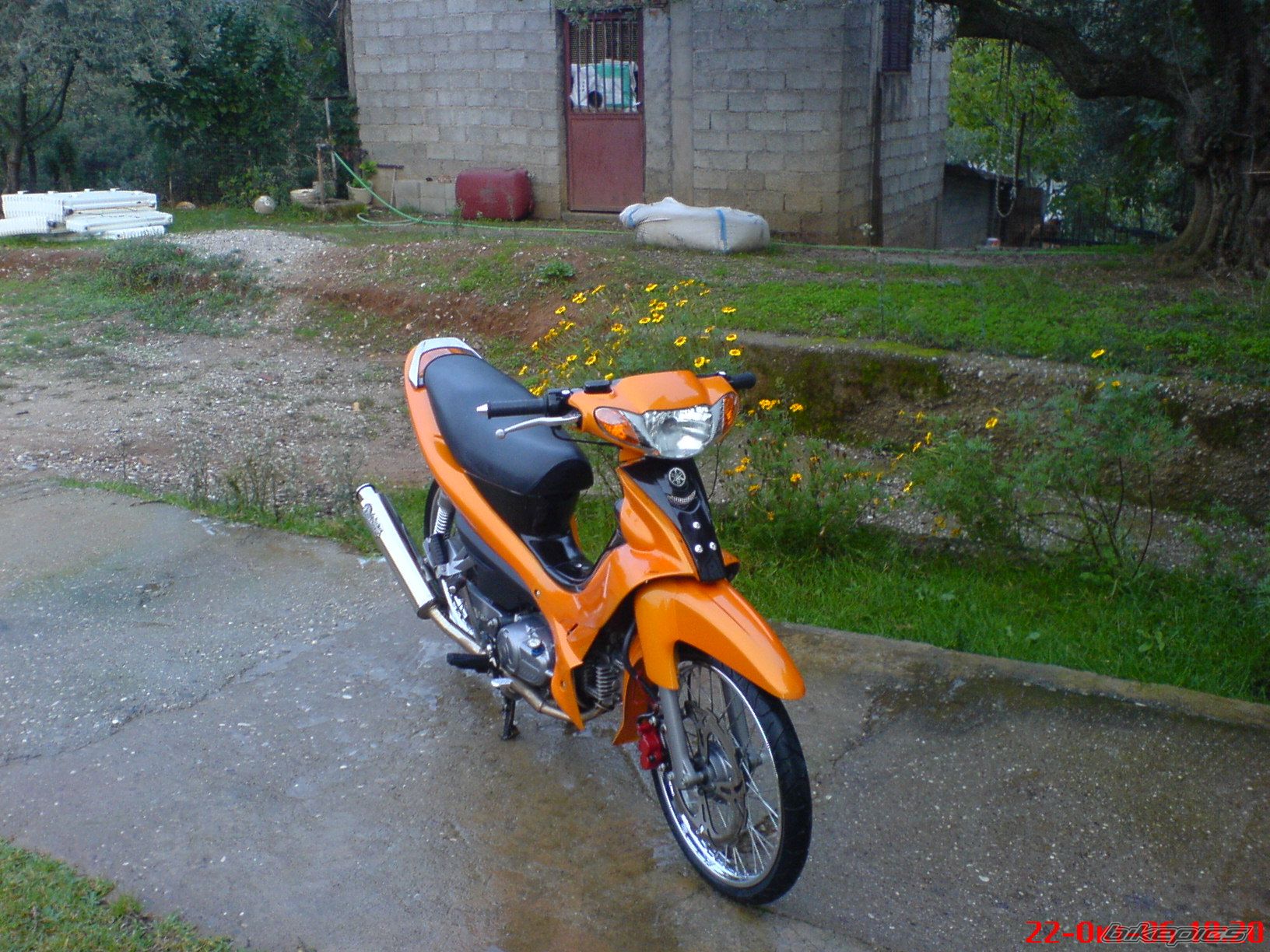 Photo 729439