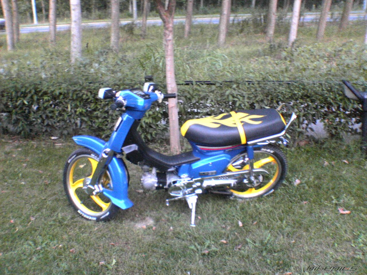 Photo 729444