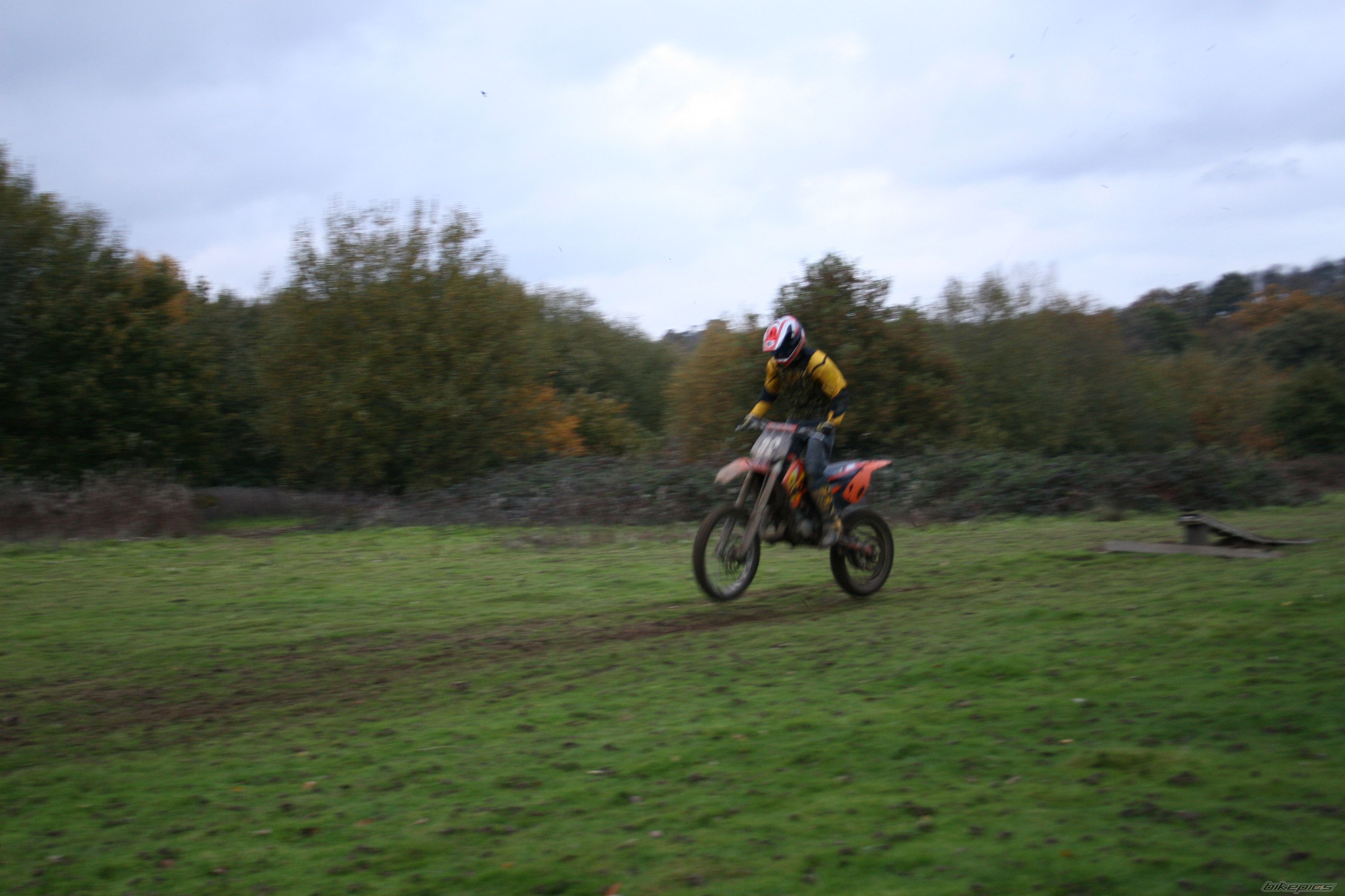 Photo 729511