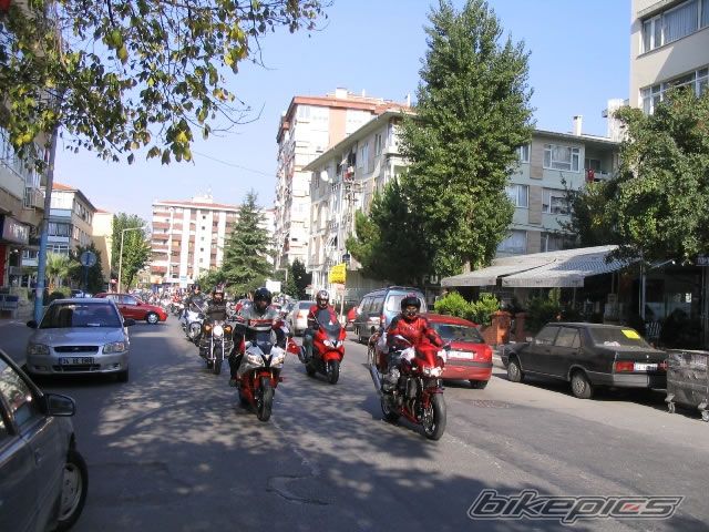 Photo 729594