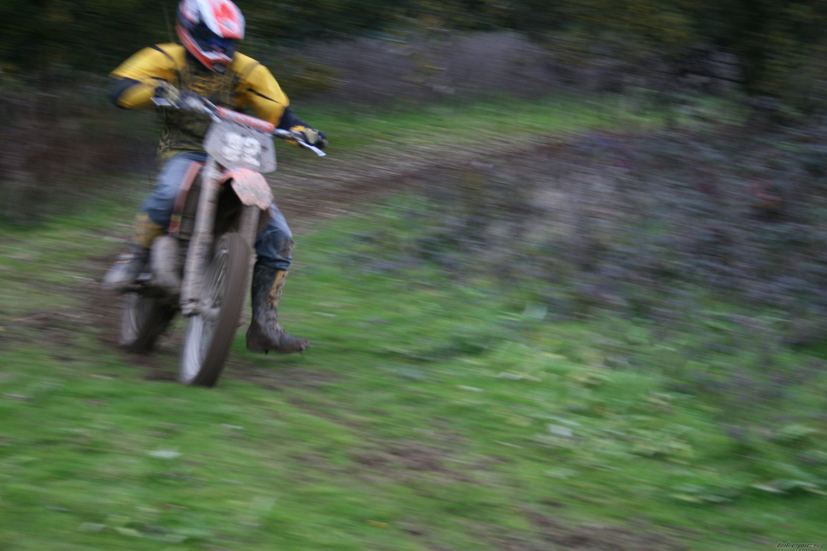 Photo 729603