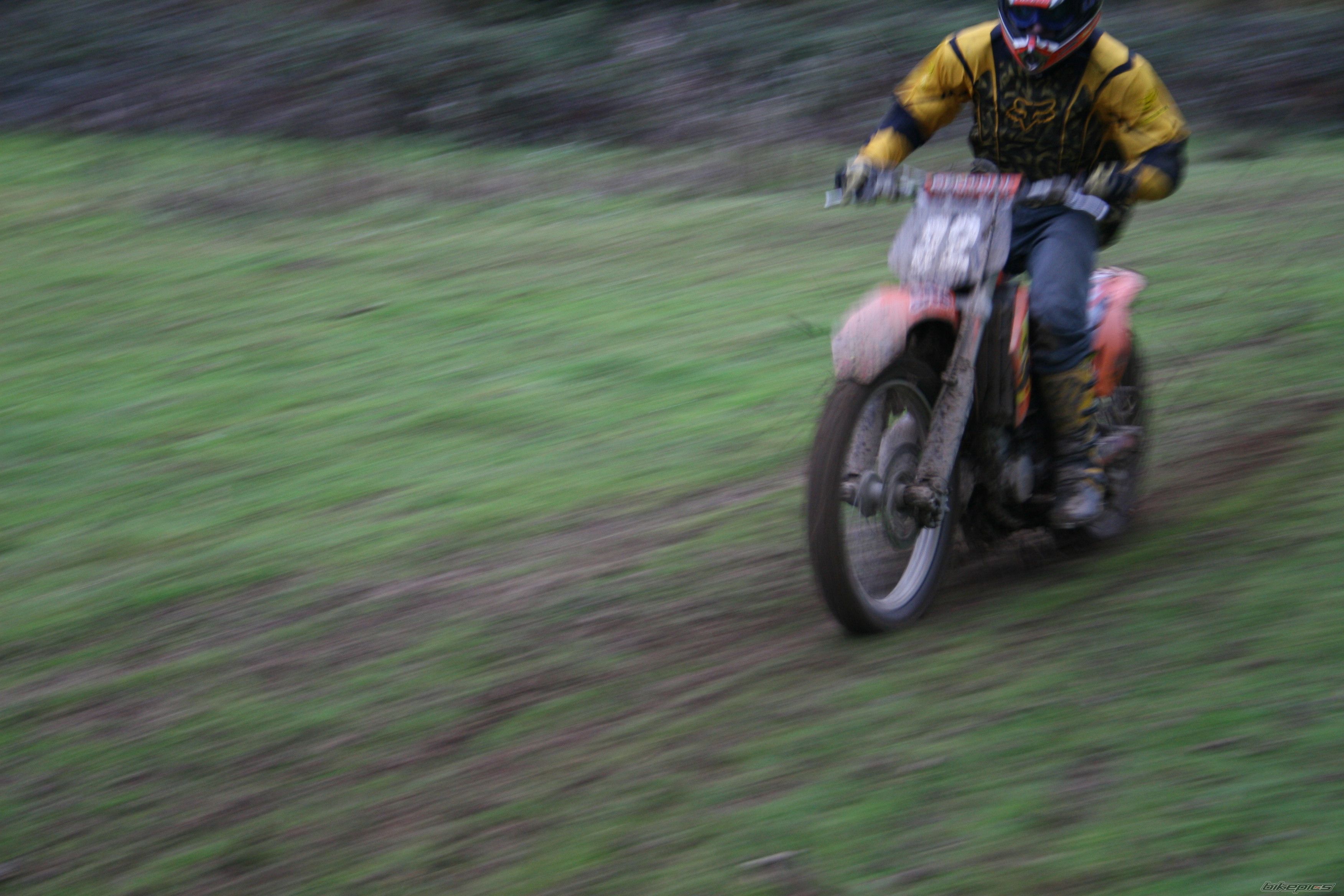 Photo 729616