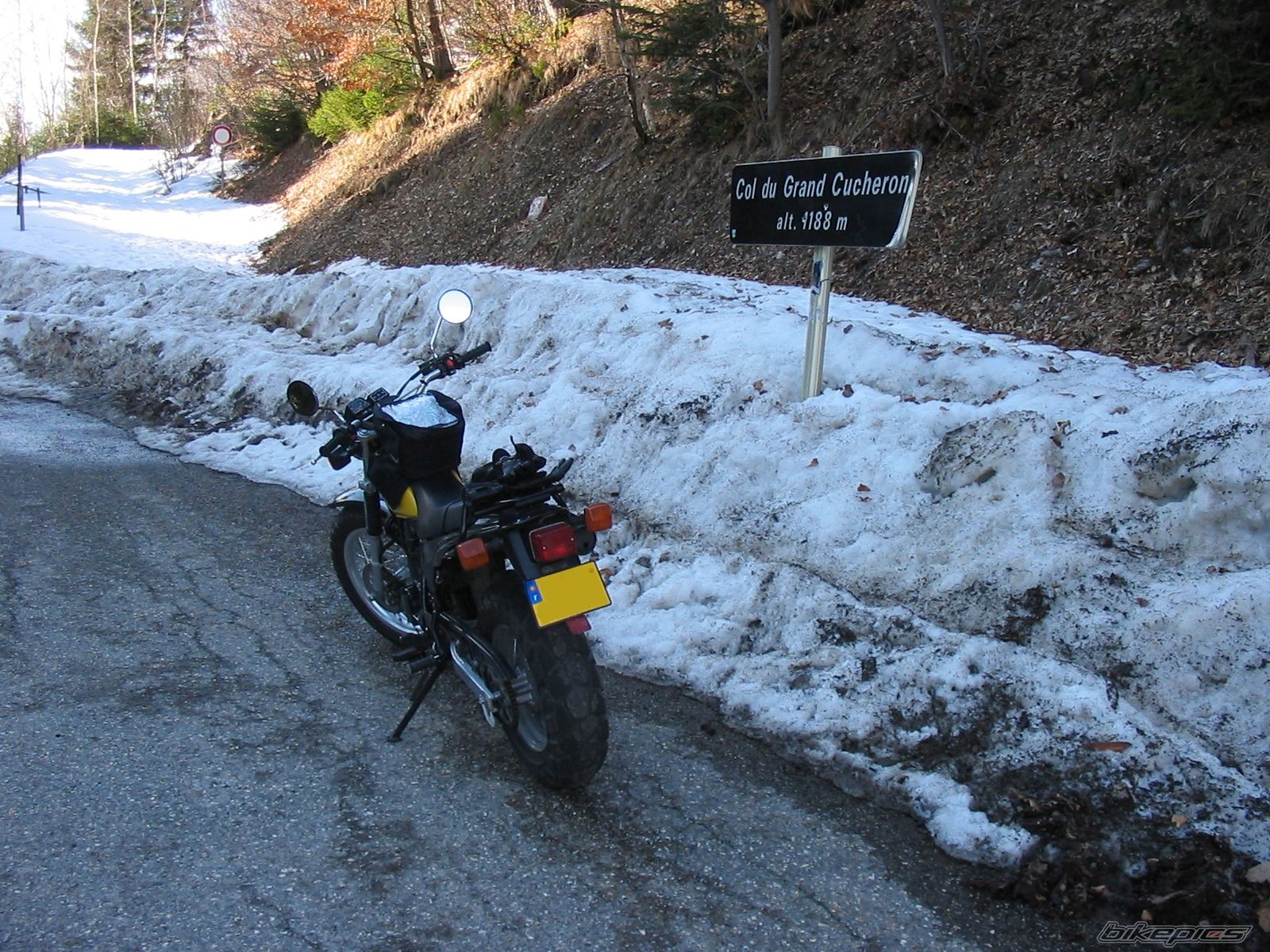 Photo 729653
