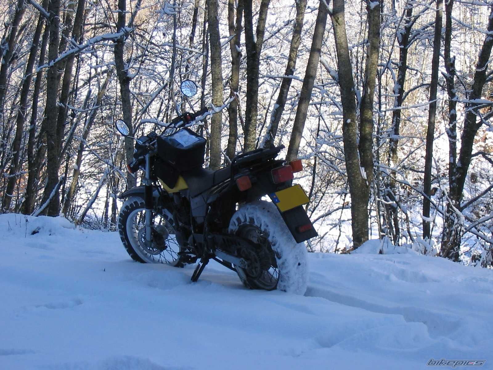 Bike Photo 729663
