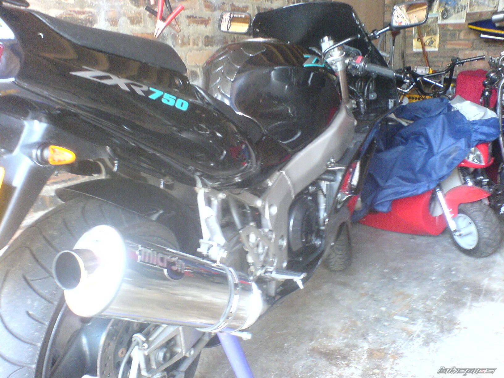 Photo 729729