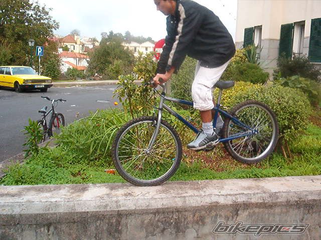 Photo 729788